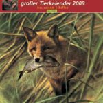 Rien Poortvliets großer Tierkalender 2009