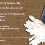 Staupeverdacht