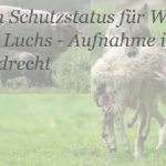 Petition_Wolf_Jagdrecht