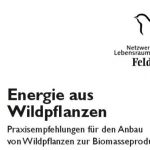 Energie aus Wildpflanzen