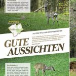 WILD UND HUND 10/2015