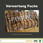Verwertung Fuchs/Marder