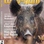 wildundhund titel 72016