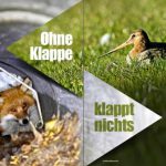 Fangjagd und Vogelschutz