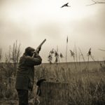 Browning B725 Release Hungary 2011 by Denis Leruse