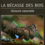 La_Becasse_des_Bois