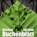 Blatten mit dem Buchenblatt