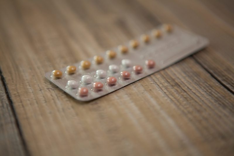Anti-Baby-Pille soll Waschbär stoppen
