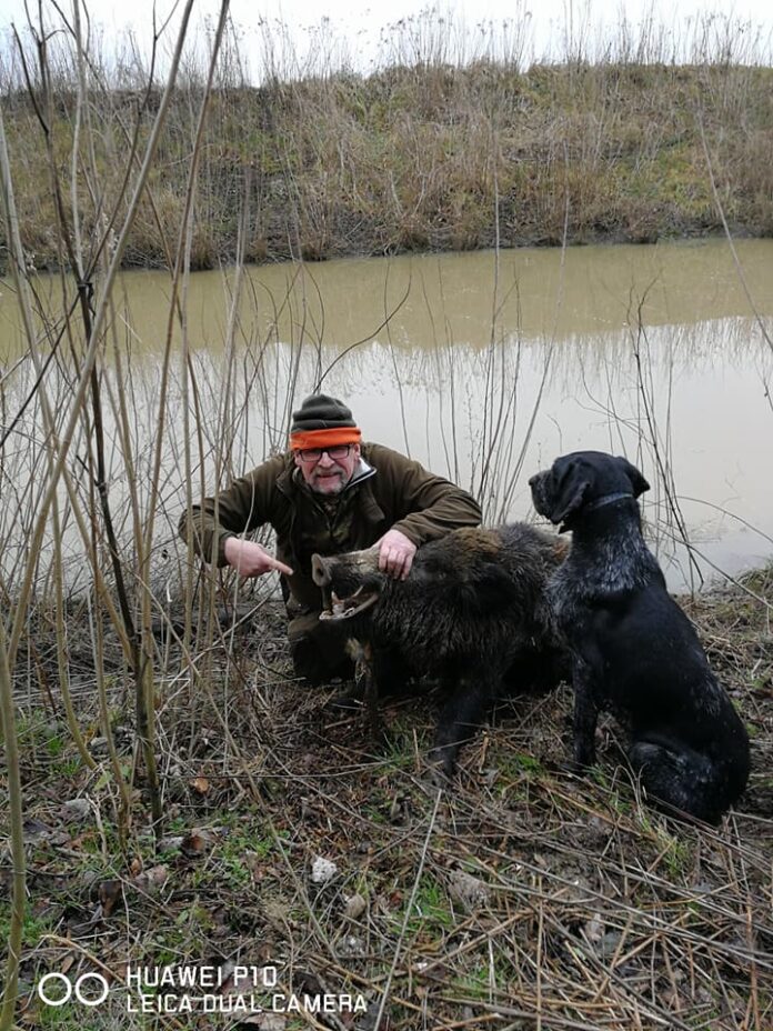 Der Beste Trick Für Die Wildschweinjagd - WILD UND HUND