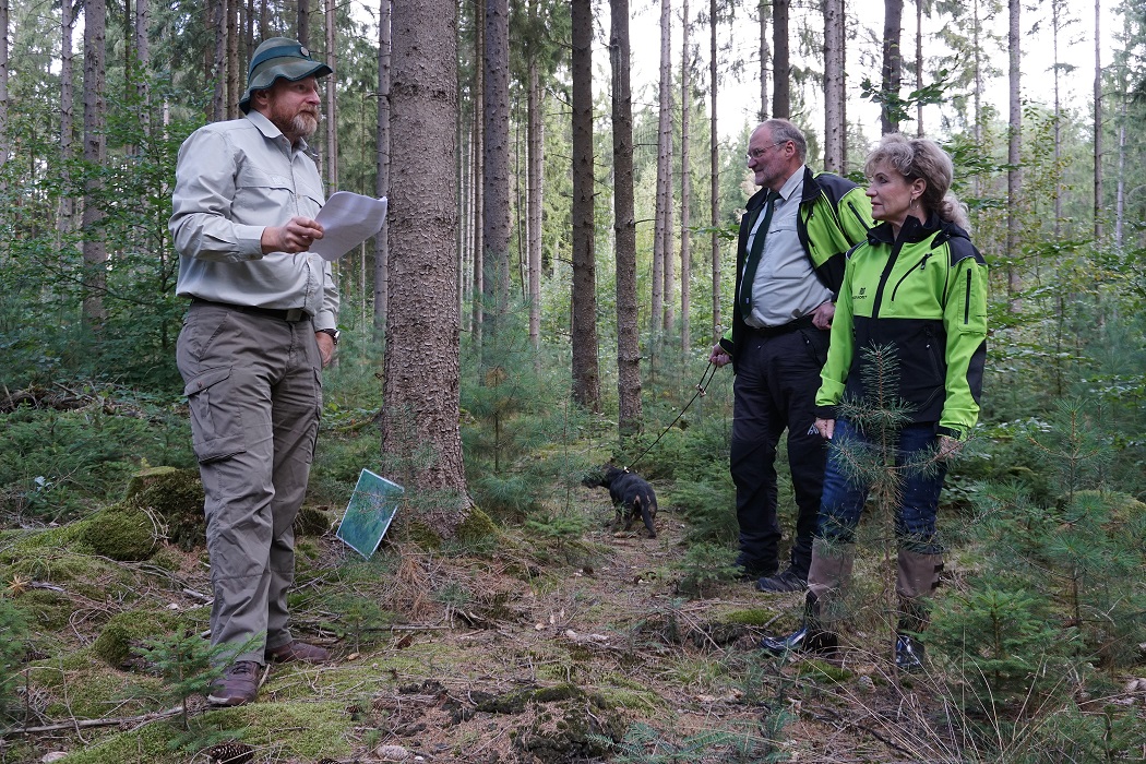 Thüringen: Jagd soll Wiederbewaldung dienen - WILD UND HUND