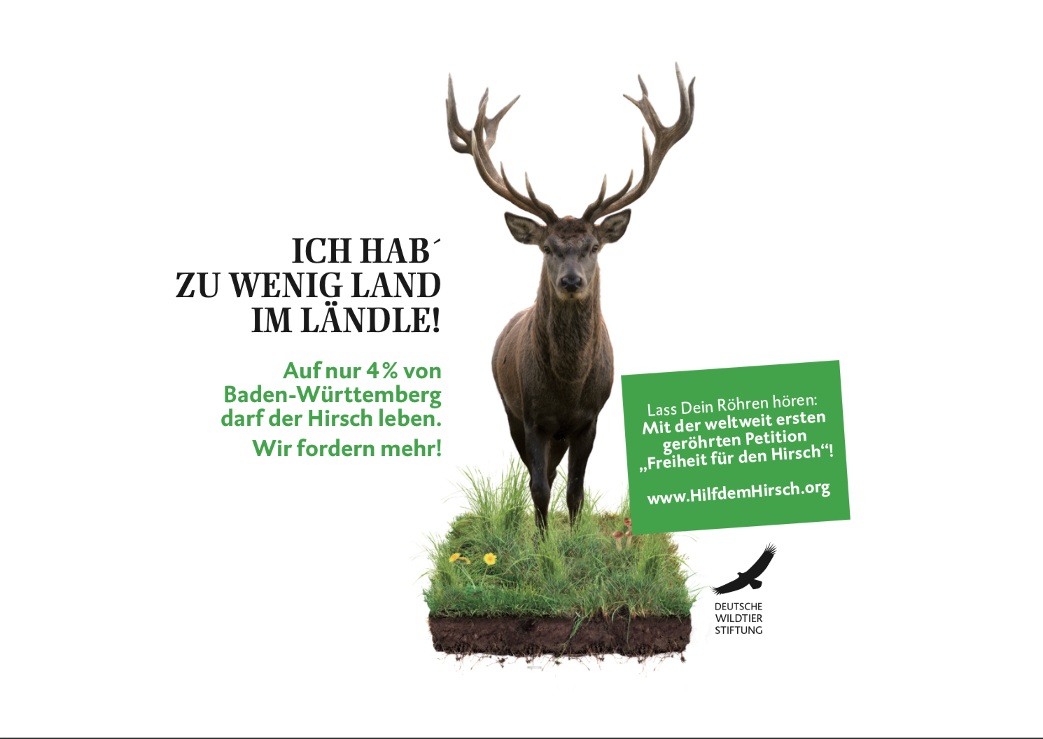 Deutsche Wildtier Stiftung reicht Petition im Landtag ein - WILD UND HUND