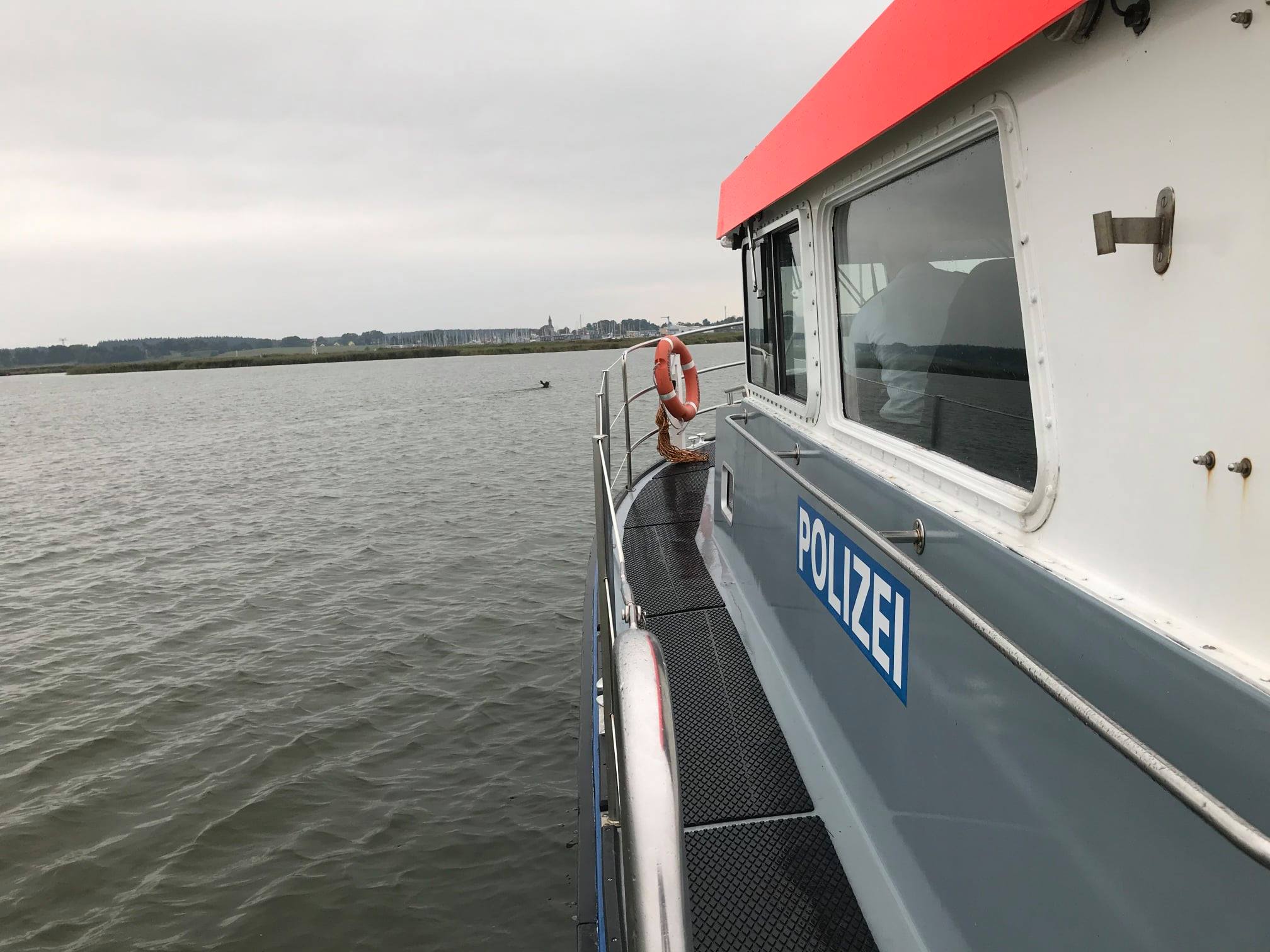 Schnappschuss vom Polizeiboot: Ein Elch in der Ostsee