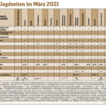 Bildschirmfoto 2021-02-18 um 16.16.04