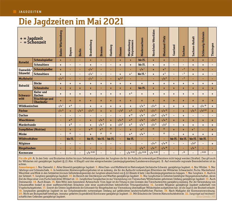 Aktuelle Jagdzeiten WILD UND HUND