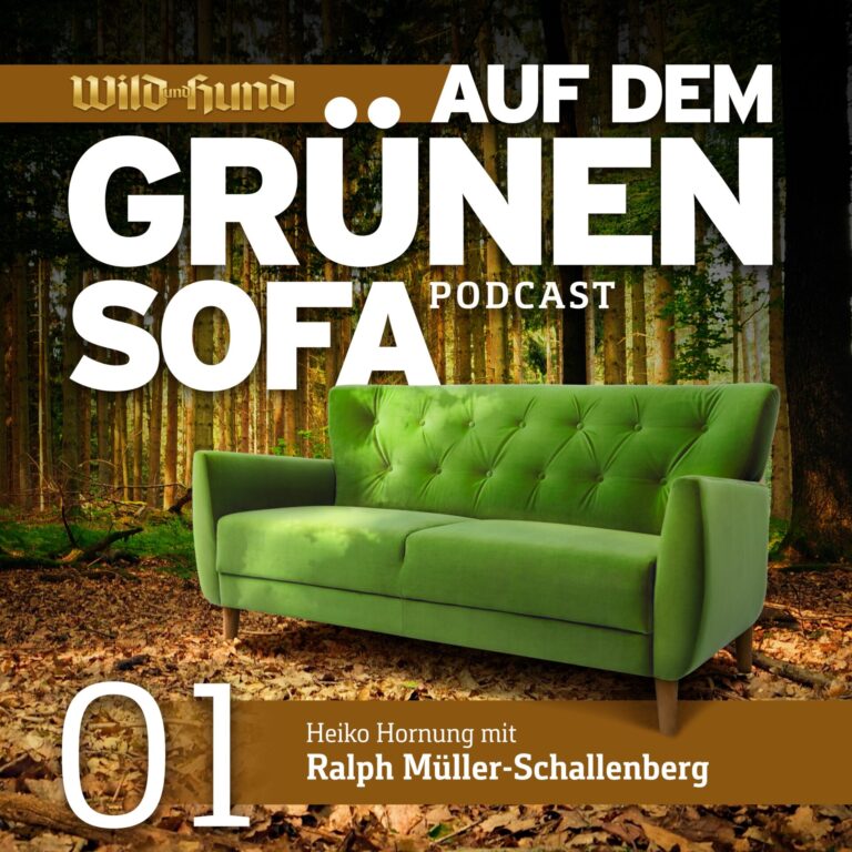 Auf dem grünen Sofa – Heiko Hornung mit Ralph Müller-Schallenberg