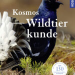 Ophoven_Kosmos Wildtierkunde_web-jpg.indd
