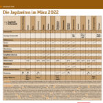 800_Jagdzeiten_Maerz_0422_1