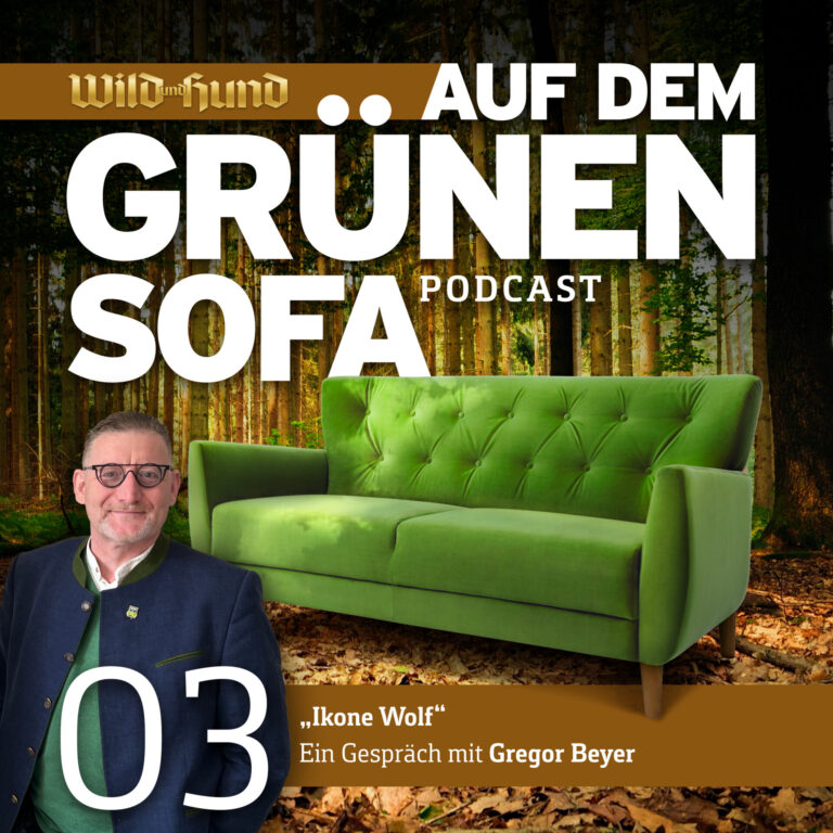 Ikone Wolf“ – Ein Gespräch mit Gregor Beyer