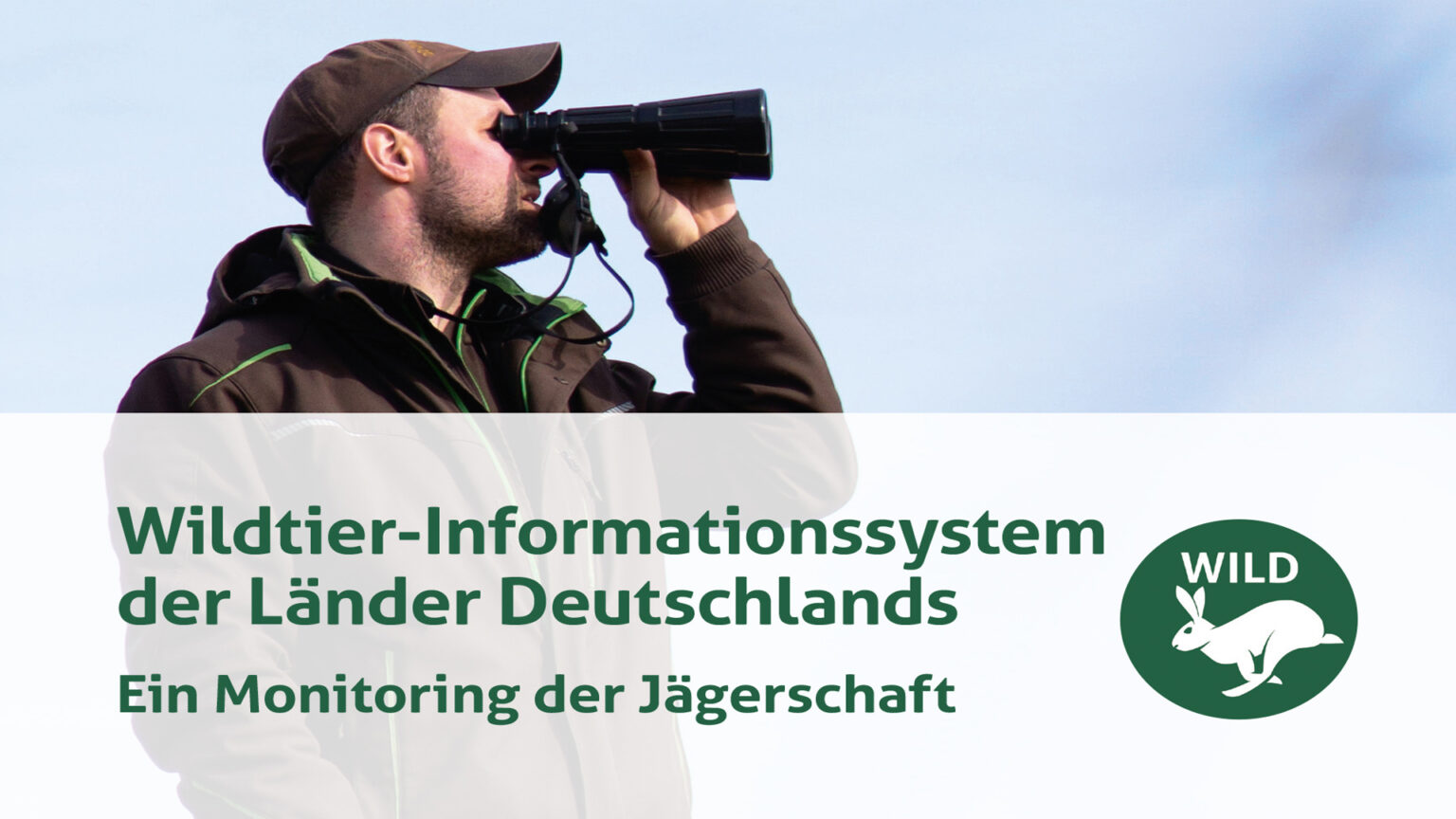 WILD-Monitoring im Überblick - WILD UND HUND