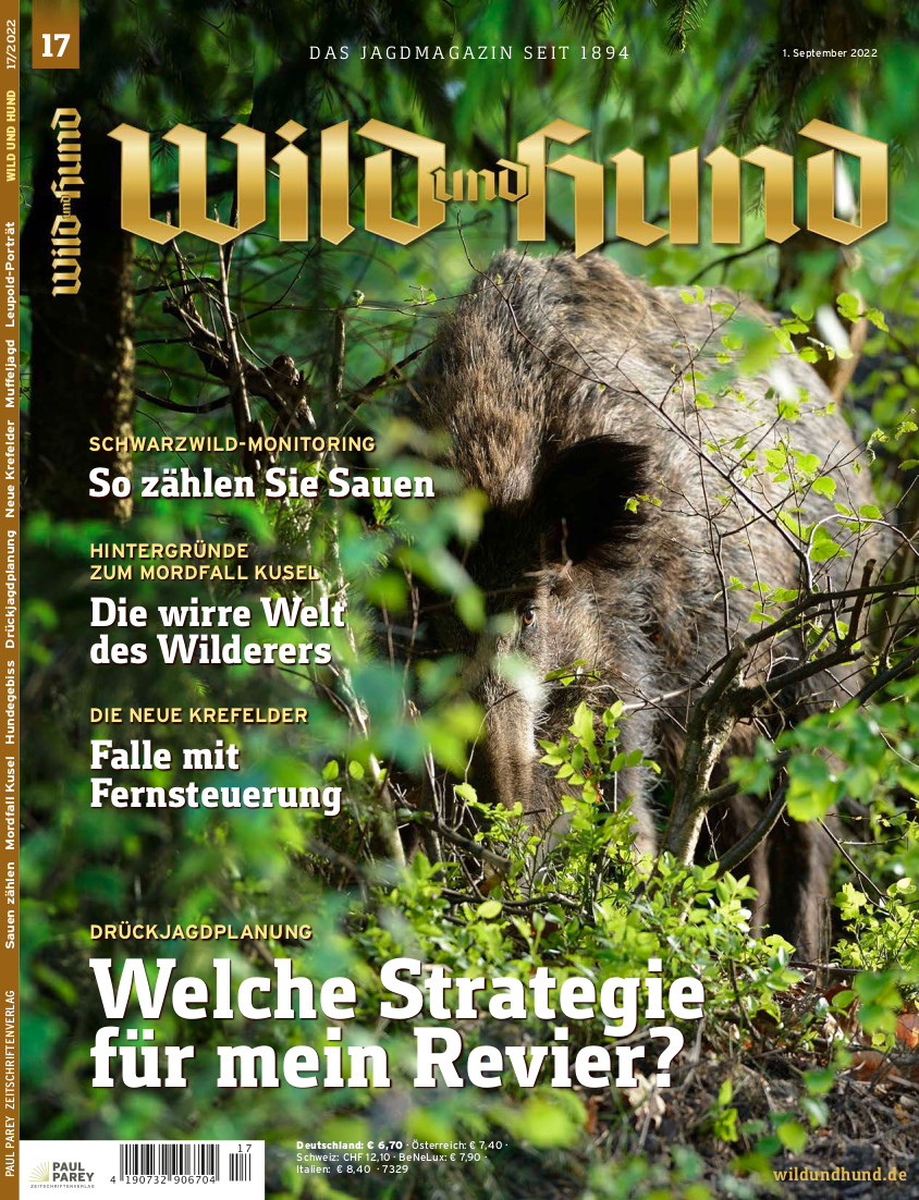 Cover der WILD UND HUND Ausgabe 17/22