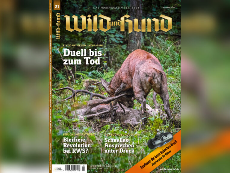 WILD UND HUND - WILD UND HUND