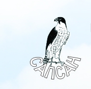 Sapsan-Logo