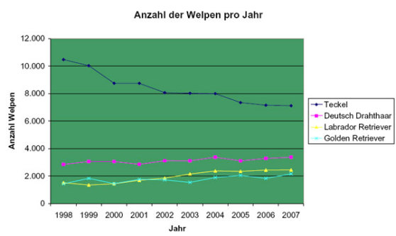 Welpenstatistik 2007