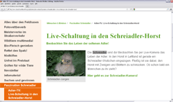 20110427_screenshot www.deutschewildtierstiftung.de_250