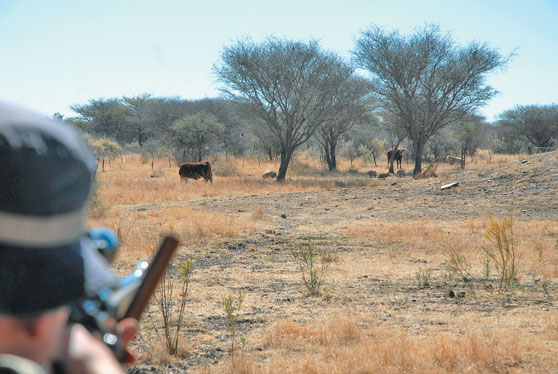 Keilerjagd Namibia