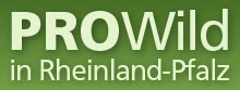 Logo PROWild