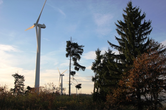 Windkraft_Wald
