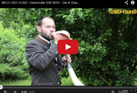 Video Hirschrufer