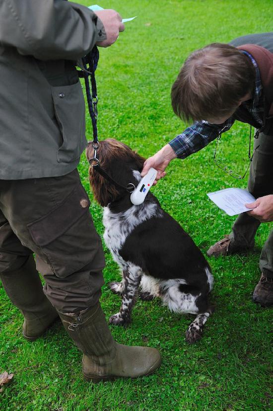 Jagdfreundliche Alternative zu TASSO WILD UND HUND