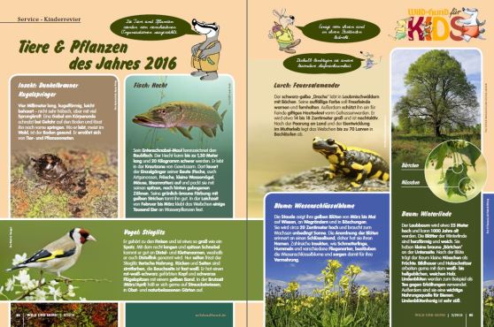 Tiere & Pflanzen des Jahres 2016